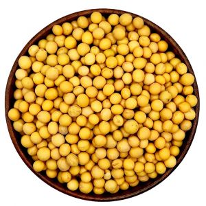 ΦΑΣΟΛΙΑ ΣΟΓΙΑΣ ORGANIC