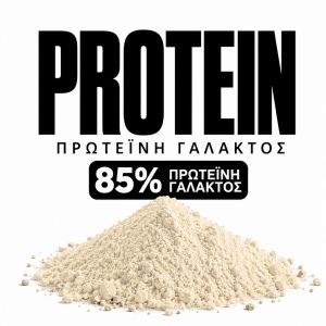 πρωτεΐνη γάλακτος 85% 