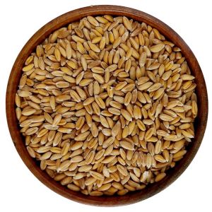 DINKEL ΣΠΟΡΟΣ