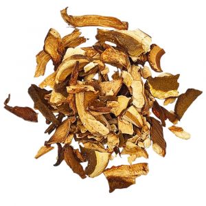 PORCINI  ΜΑΝΙΤΑΡΙΑ ΚΟΖΑΝΗΣ