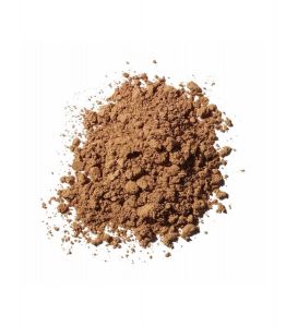 ΓΑΝΟΔΕΡΜΑ MANITARIA REISHI