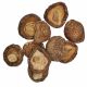 ΜΑΝΙΤΑΡΙΑ ΟΛΟΚΛΗΡΑ SHIITAKE 
