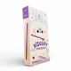 Tokimeki Biscuit Stick blueberry