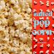 POP CORN 100%